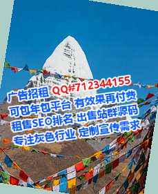 东坡孕母计算机公司